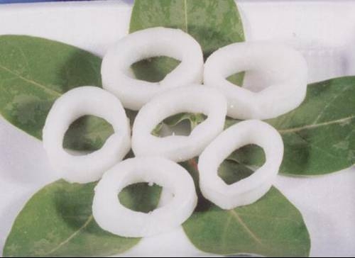 Squid Ring 1